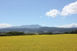 画像2: 長野県東御市産　特別栽培米　こしひかり　24kg